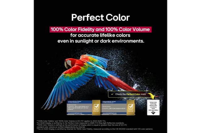 Slider Image 15
