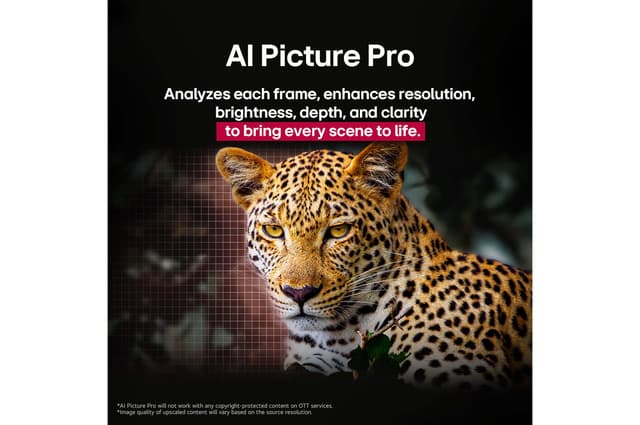 Slider Image 12
