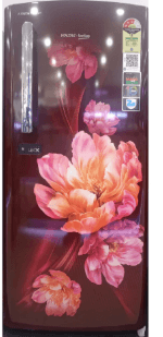 RDC225C-(ABBY WINE)(189 LTRS)(2 STAR)(2S0WAE0M0B00GD) REF DC VOLTBEK